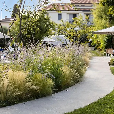 Regina Adelaide & 4*